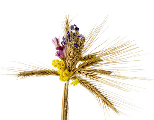 Related dried wheat ears with flowers