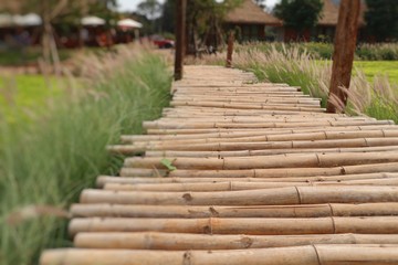 Bamboo bridge in nature