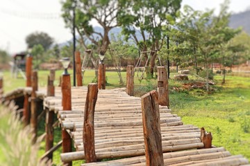 Bamboo bridge in nature