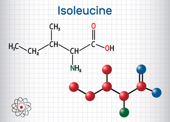 Isoleucine (L- isoleucine , Ile, I) amino acid molecule. It is used in the biosynthesis of proteins. Sheet of paper in a cage. Structural chemical formula and molecule model.