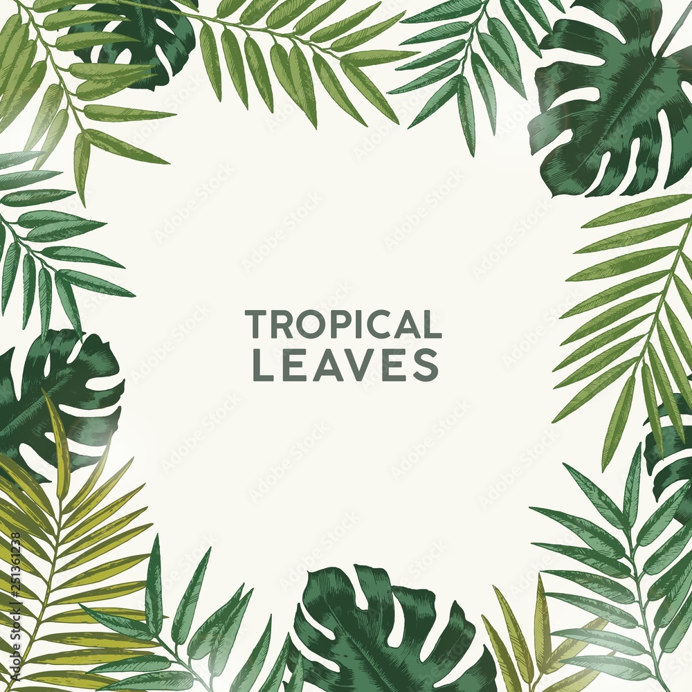 Poster square summer backdrop or background with frame or border made of green tropical foliage or exotic l