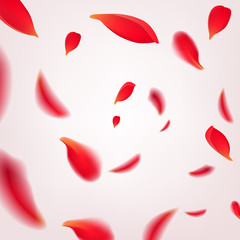 Falling swirl of red rose petals isolated on white background. Vector illustration with beauty roses petals frame, applicable for design of greeting cards on March 8 and St. Valentine s Day.