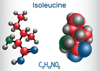 Isoleucine (L- isoleucine , Ile, I) amino acid molecule. It is used in the biosynthesis of proteins. Molecule model.