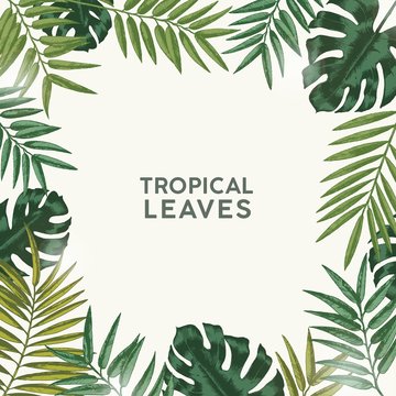 Square summer backdrop or background with frame or border made of green tropical foliage or exotic leaves of rainforest and jungle plants and place for text. Natural realistic vector illustration.