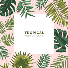 Tropical backdrop or background with frame or border made of exotic foliage or leaves jungle plants and place for text. Natural seasonal realistic hand drawn vector illustration in elegant style.