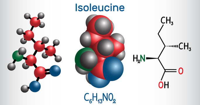 Isoleucine (L- isoleucine , Ile, I) amino acid molecule. It is used in the biosynthesis of proteins. Structural chemical formula and molecule model