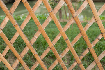bamboo fence in garden
