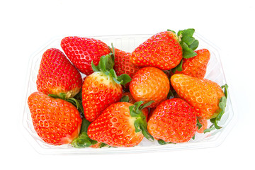 barquette de fraises