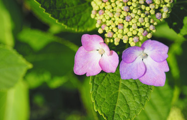 58 266 Snap Wall Murals Canvas Prints Stickers Wallsheaven