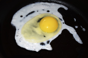  egg 