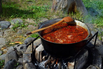 Bograch. Soup with paprika, meat, bean, vegetable, dumpling. Traditional Hungarian Goulash in...