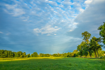 Piękne, niebieskie, jasne niebo, zielona trawa, piękny widok, spokój, łąka  © Anna Plonka