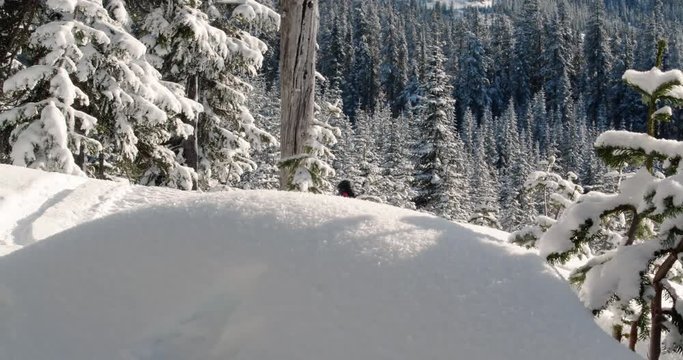 Fast Snowmobile Ride by in Sunny Winter Mountain Snow