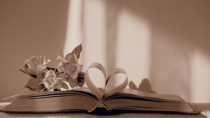 OLYMPUS DIGITAL CAMERA © Magorzata