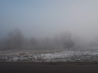 Obraz na płótnie Canvas Winter forest in the morning fog