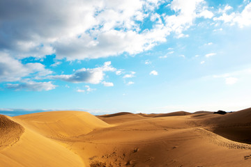 Fototapeta na wymiar sand dunes of Maspalomas in Gran Canaria, Spain