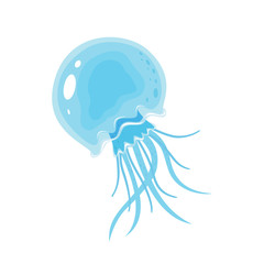 Jellyfish on White Background