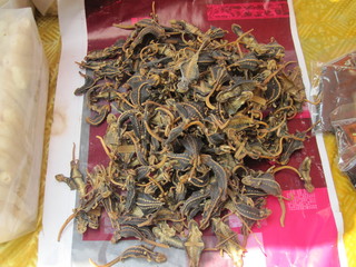 pile of dried lizards