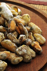 Mytilus galloprovincialis Cozze ft21_7089 Mittelmeer-Miesmuschel Mejillón mediterráneo