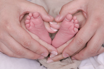 Obraz na płótnie Canvas newborn baby feet premature with parents in a heart shape