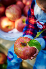 Apple on hand 