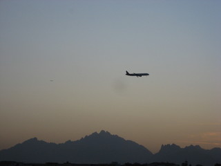 Naklejka premium PLANE GOES ON SUNSET