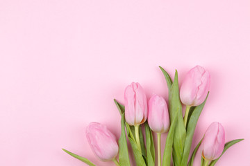 A bouquet of beautiful pink tulips flowers on a trendy pink background. Spring. holidays. top view. free place. flower frame