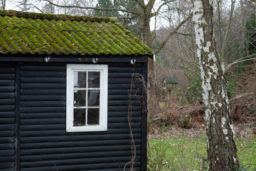 Tiny house with green moss on roof