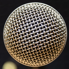 Detail of the net of a capsule from a microphone