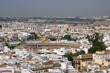 Fototapeta na wymiar View of Seville from the height of the Cathedral