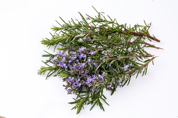Freshly picked sprig of rosemary isolated on white.