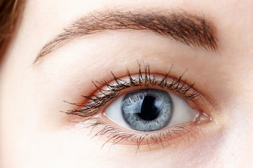 Beautiful female blue eye close-up
