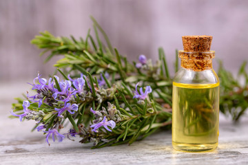 Rosemary essential oil in a small bottle. Natural aroma cosmetic oil