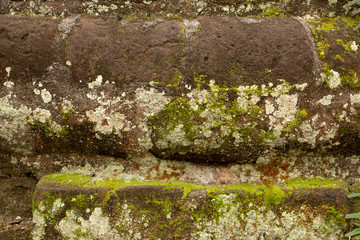brick and moss brick background