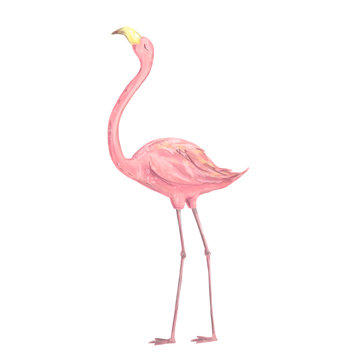 Pink cute flamingo watercolor character digital clip art beauty bird tropical summer set illusration on white background