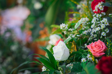 Wedding flower decoration, rose, gypzo flower, with blur and bokeh background