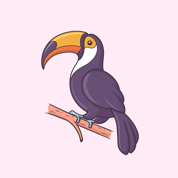 Toucan bird vector iillustration