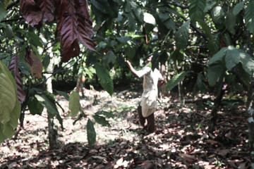 Young Farmer
