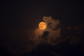Pleine lune rousse au milieu des nuages de nuit - obrazy, fototapety, plakaty