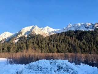 Avalanche views from Alaska