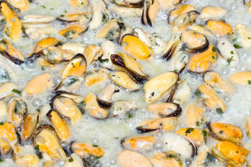 mussels stewed in white sauce