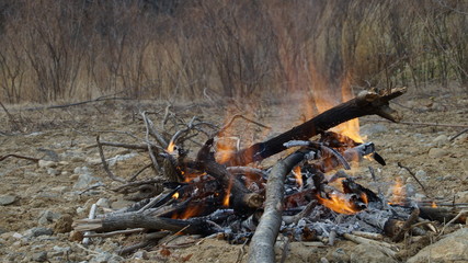 Bonfire in the mountain