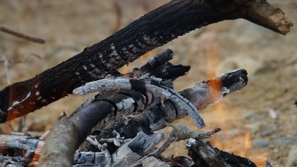 Bonfire in the mountain