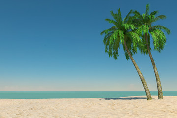 Tourism and Travel Concept. Empty Tropical Paradise Beach with White Sand and Coconut Palm Trees. 3d Rendering
