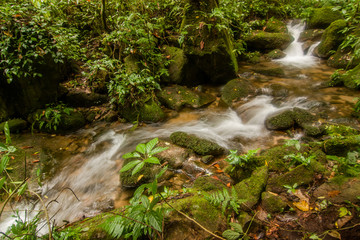 Waterfalls in natural forests, Thailand