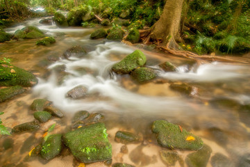 Waterfalls in natural forests, Thailand