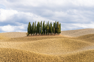 Herbst im Orciatal in der Nähe von Montalcino, bekannt durch den berühmten Rotwein Brunello, der...