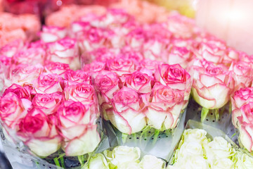 Bouquets of multiclored roses. Fresh flower background. Florist service. Wedding present Wholesale flower shop. Flower storage and warehouse