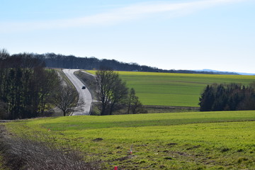 gewundene Straße durch grüne Hügel der Eifel