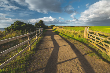 Countryside road with wooden fence. Northern Ireland landscape. The country driveway passing through the green grass fields. Horizon view. Blue cloudy sky background. Stunning Irish scene.